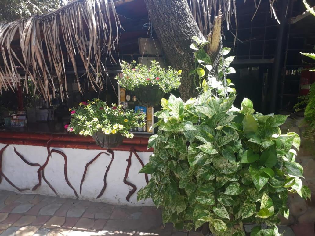 El Penon De Constantino - Tatacoa Hotell Villavieja Eksteriør bilde